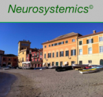 E’ uscito il nuovo numero di Neurosystemics©