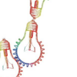 La formazione come motore dell’innovazione